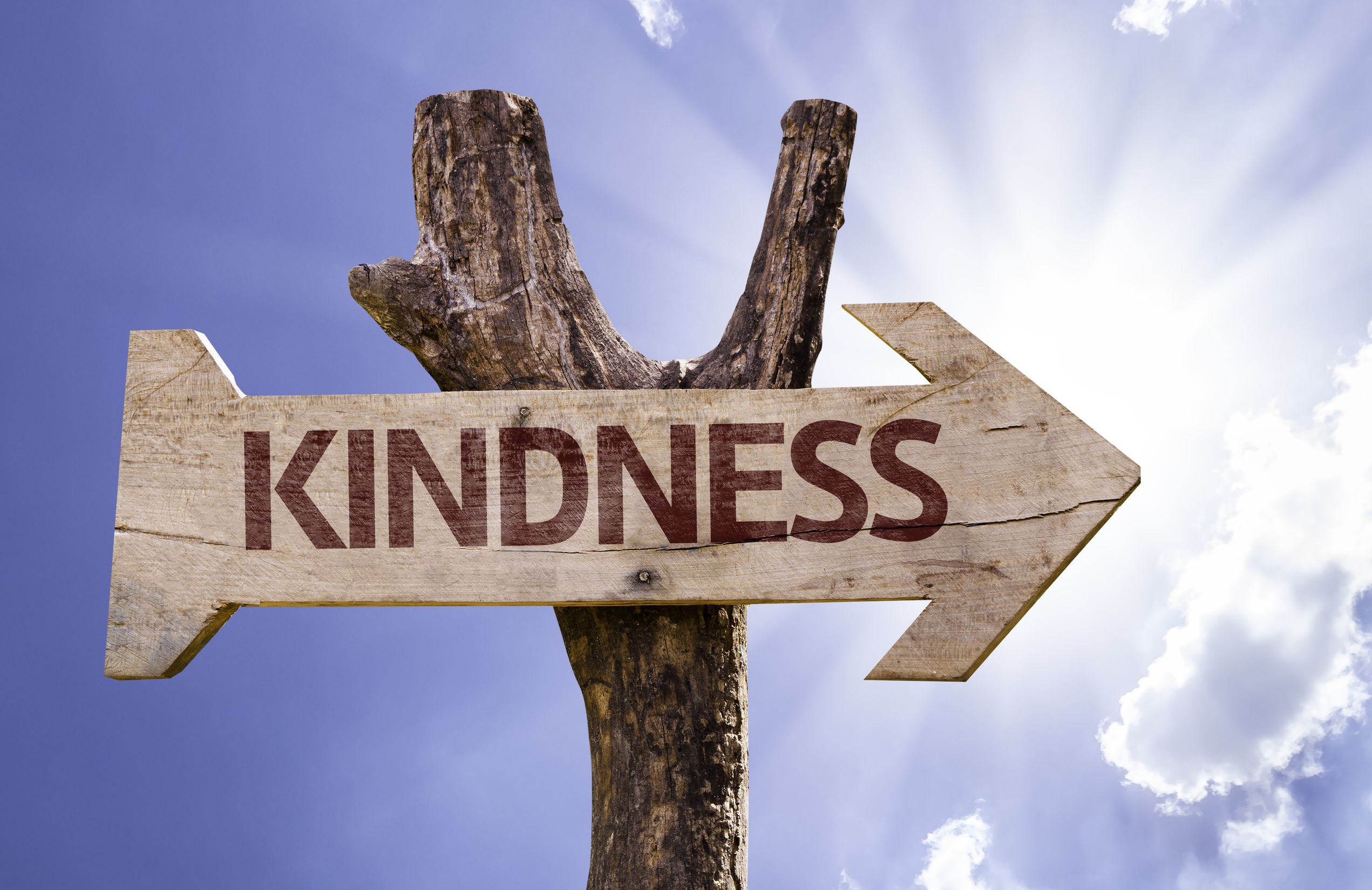Kindness Quotes