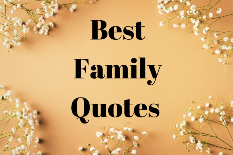 Family Quotes