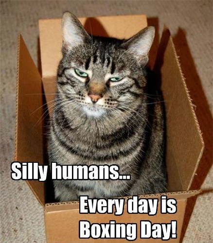 every-day-is-boxing-day