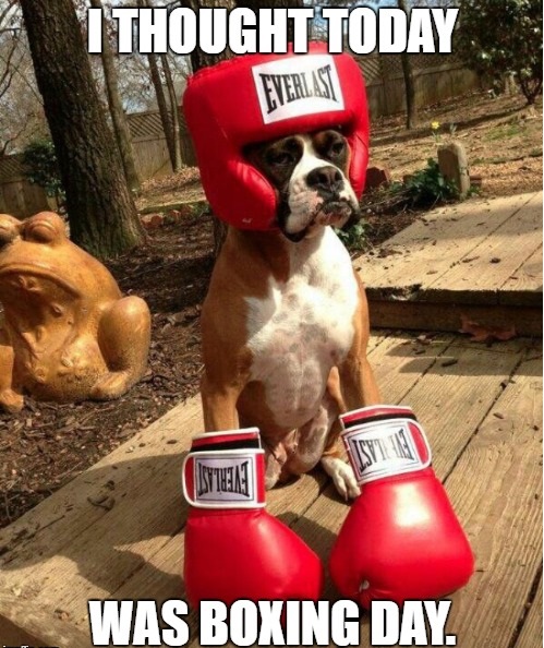 funny-boxing-day-image