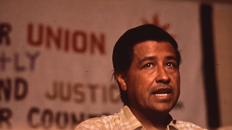 Cesar Chavez Quotes