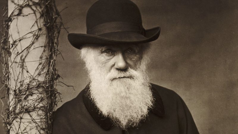 Charles Darwin Quotes