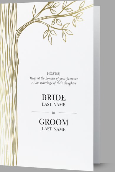 Wedding Invitation Card Sample 19 Wedding Invitation Card Sample 19